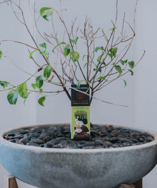 Alternative view of Nutree Raw Energy Bar Μάτσα Μαύρη Σοκολάτα