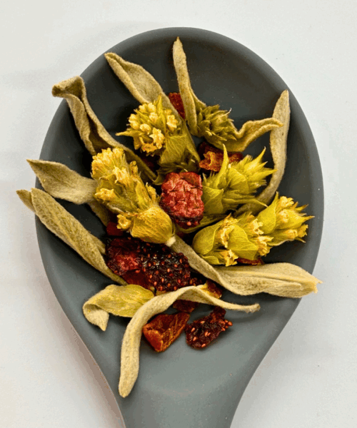 Alternative view of KumQU Panda