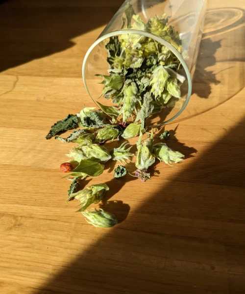 Alternative view of Μείγμα βοτάνων The Bear Blend