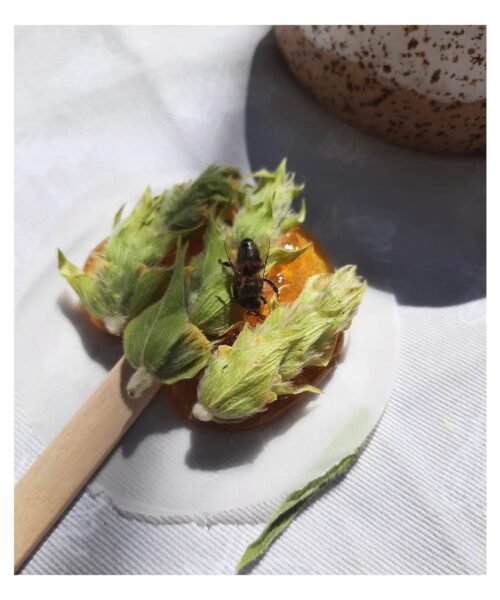 Alternative view of Mountain Tea Stick